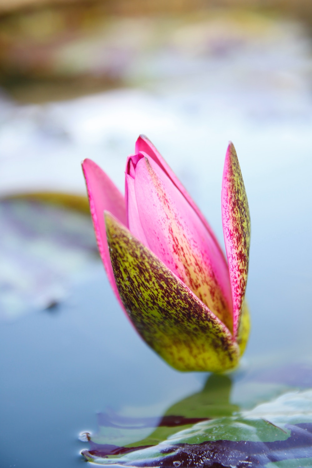 binh-dang-nam-l5-586RYdg0-unsplash