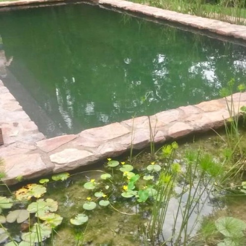 eco pond2 eco pond2