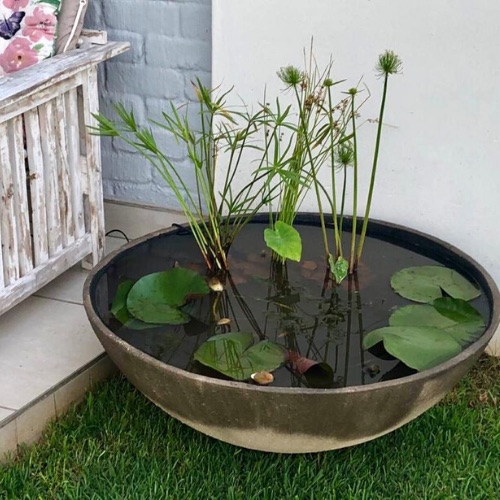 mini pond garden3