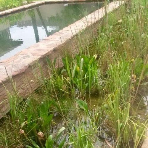 eco pond 3 eco pond 3