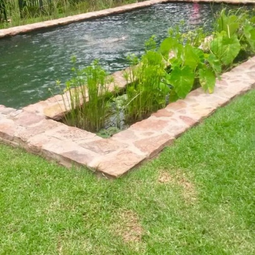 eco pond